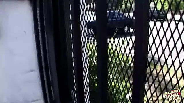 Sasha Grey enjoys a tied-up hardcore ass🍑 sex session