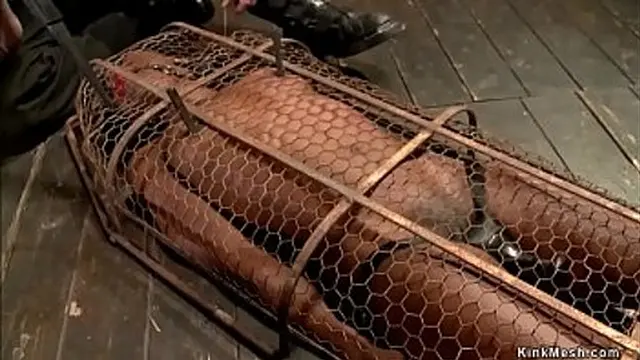 Dark ebony slave is bound in back bend restraints &mdash;  whipped then vibrated in a metal cage by her dominant master