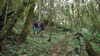 FOREST FUCK: TRY NOT TO CUM WHILE WE SEEK PRIVACY