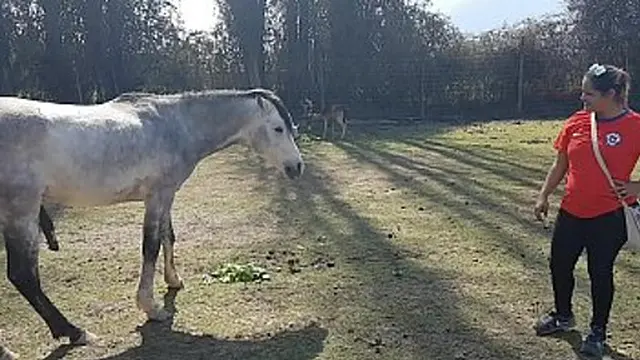 Hot Brazilian ladies seek a bite &mdash;  find me!