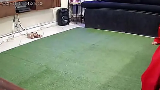 Dirty Housewife Action